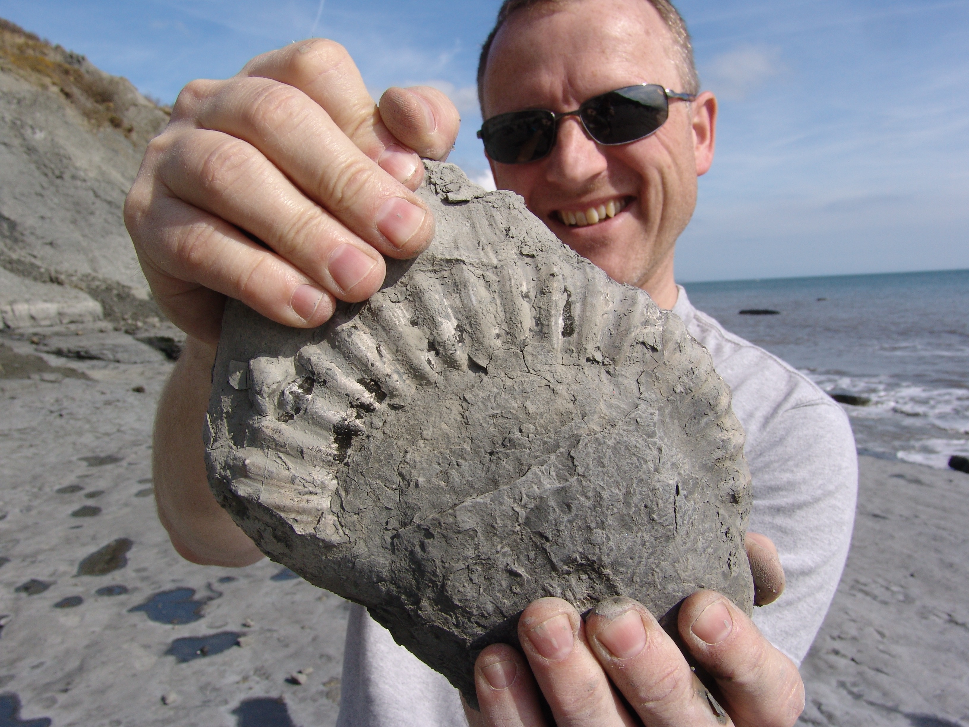 Bill with Fossil