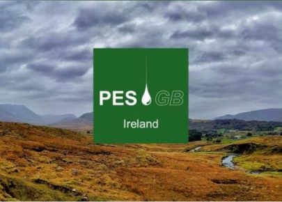 PESGB Ireland Seminar: Breaking up is never easy: the complexities that create opportunity in the distal domain