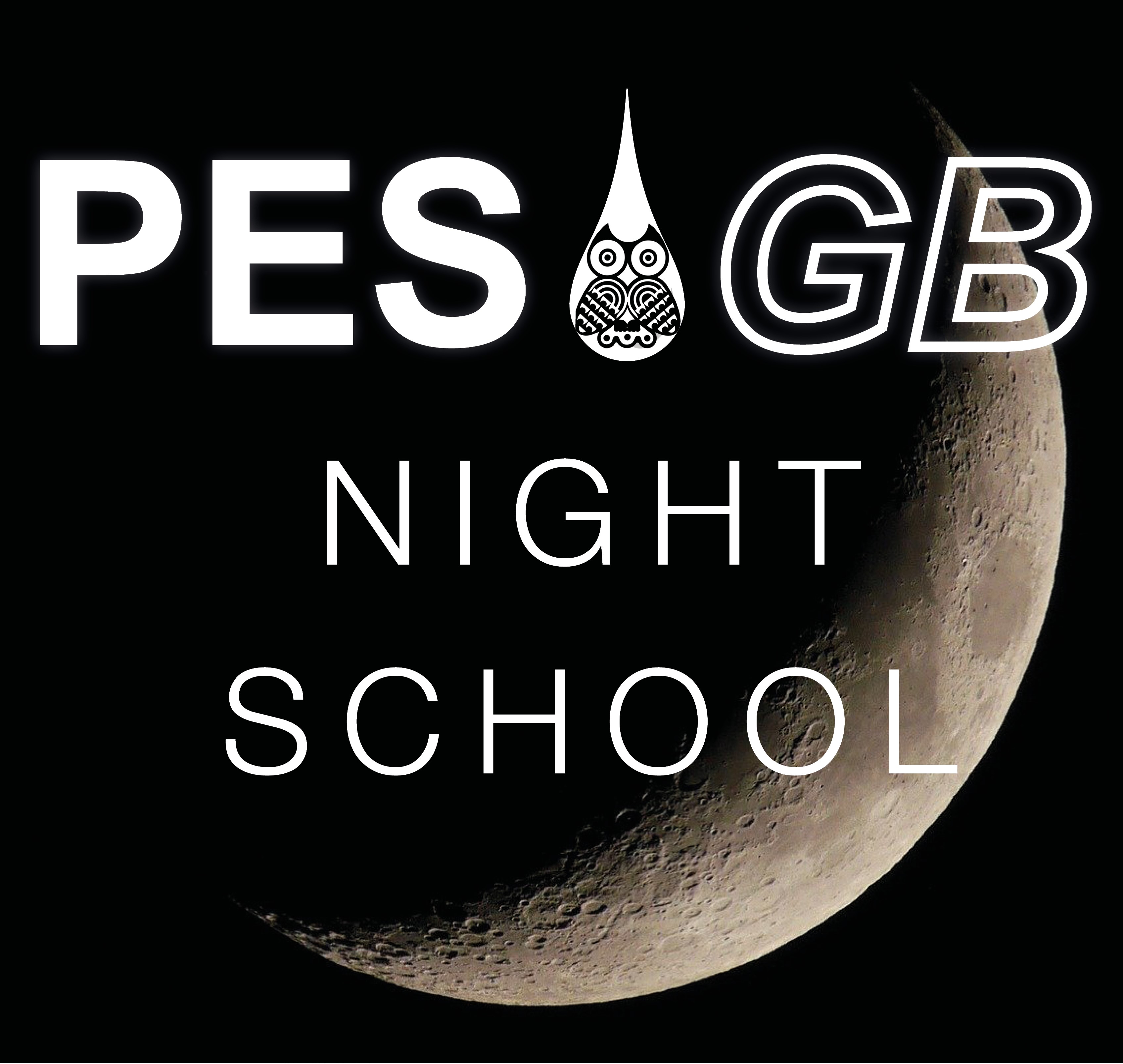 Night School – Basin Analysis and Modelling (Virtual course)