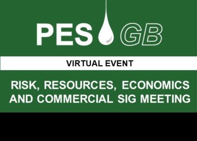 Risk, Resources, Economics and Commercial SIG Meeting - April (Virtual Event)